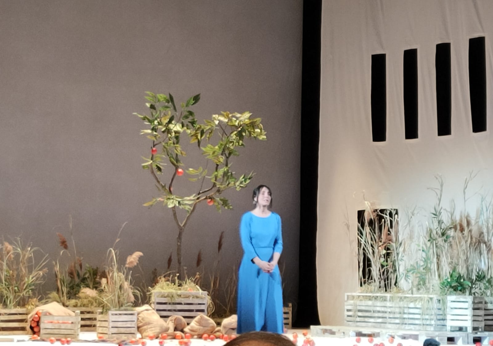 WhatsApp Image 2024-02-17 at 14.00.02